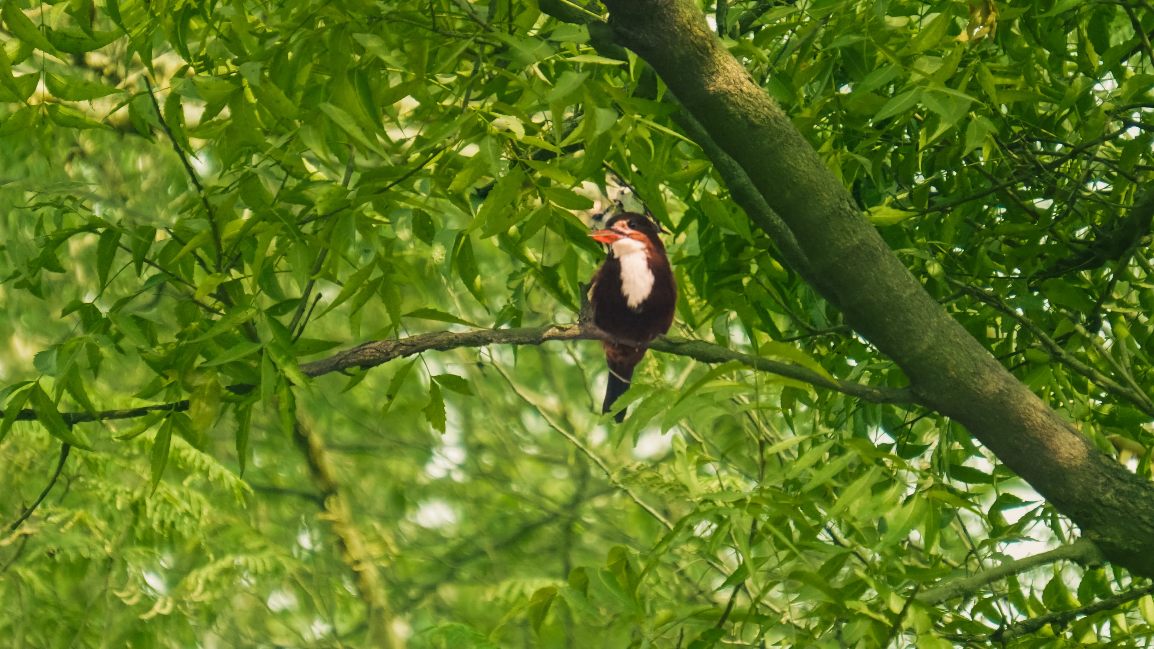 Featured project: In and around the city - Image 5