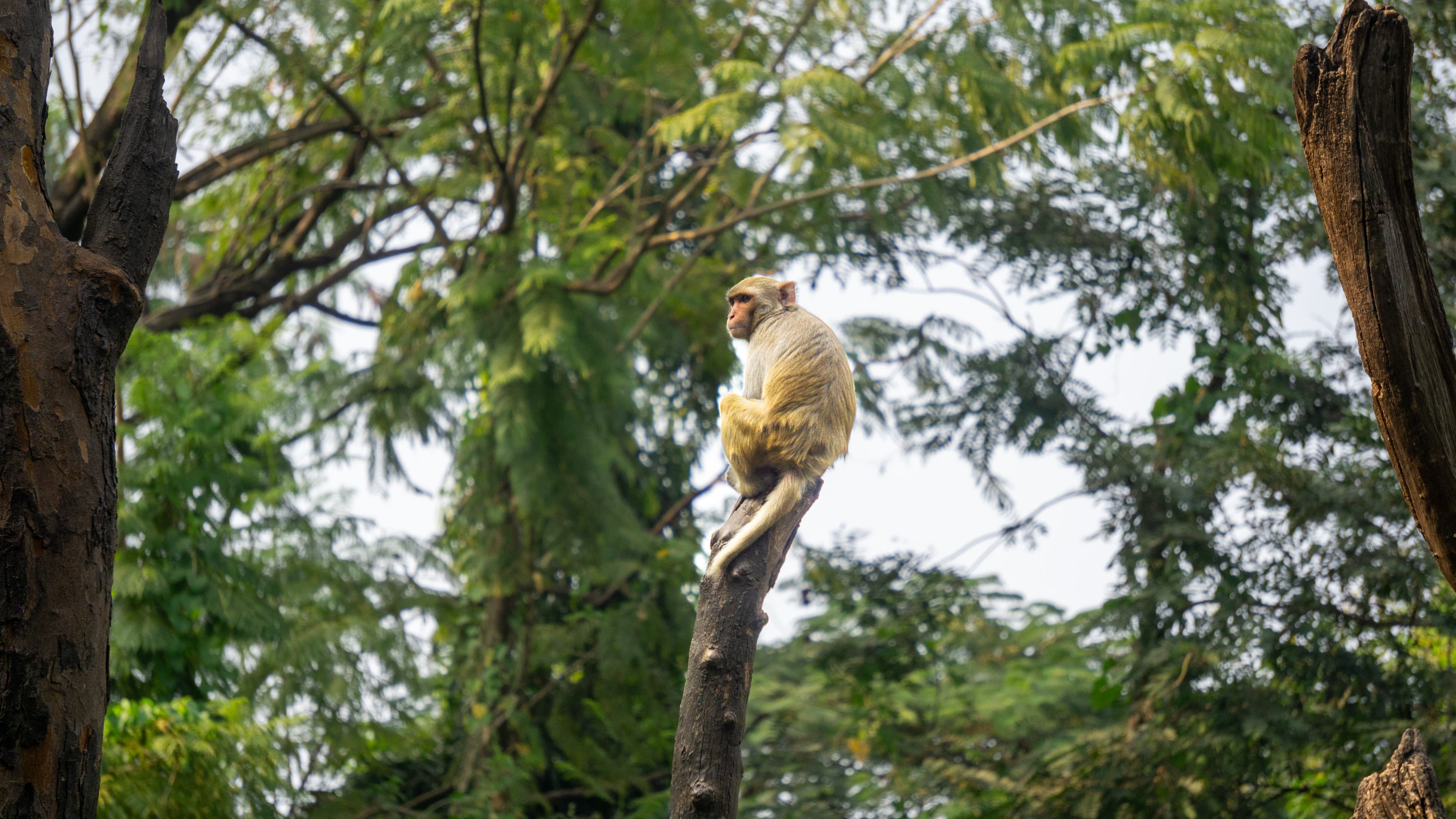 Featured project: In and around the city - Image 4