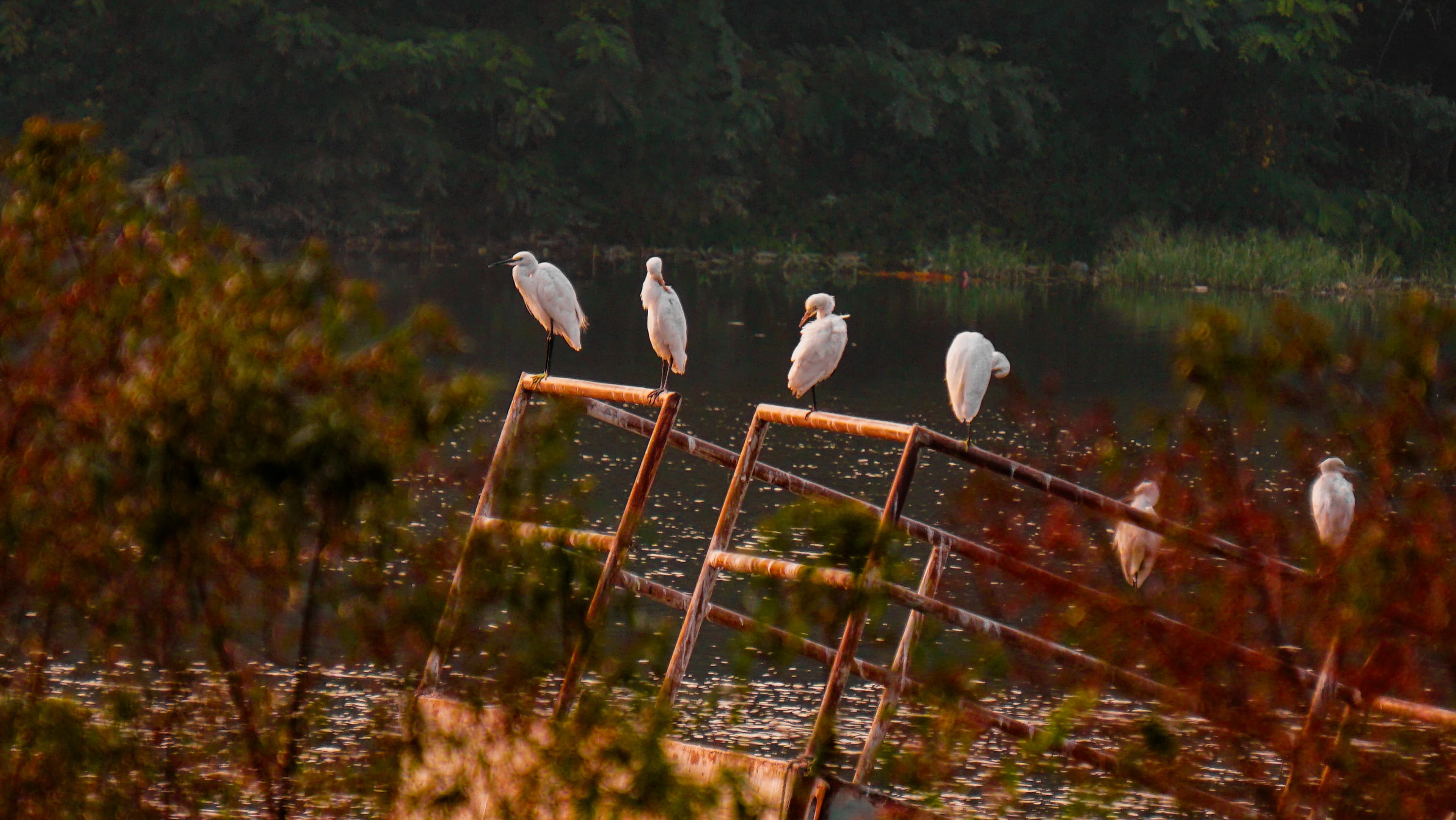 Featured project: In and around the city - Image 3