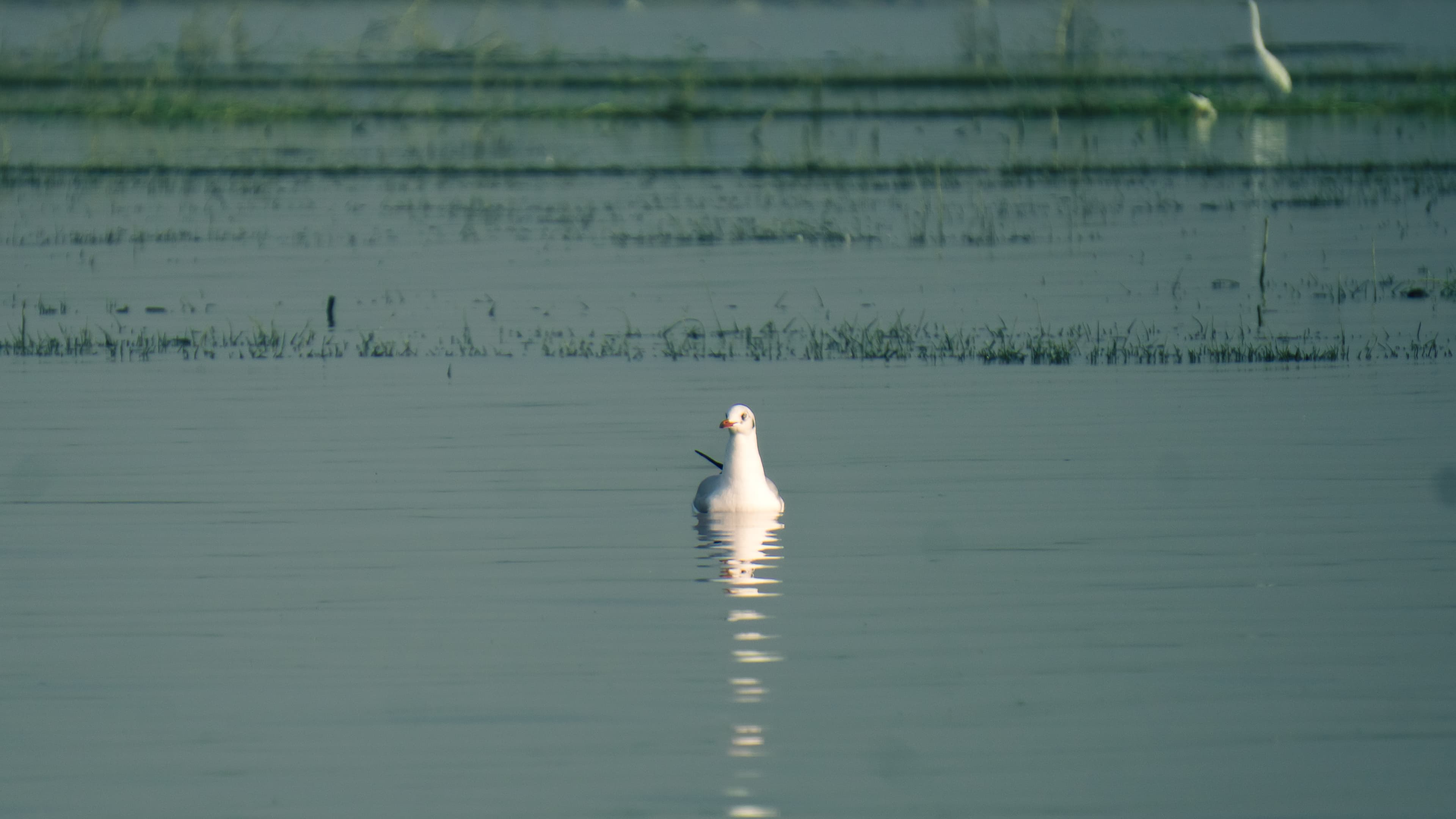 Featured project: In and around the city - Image 1