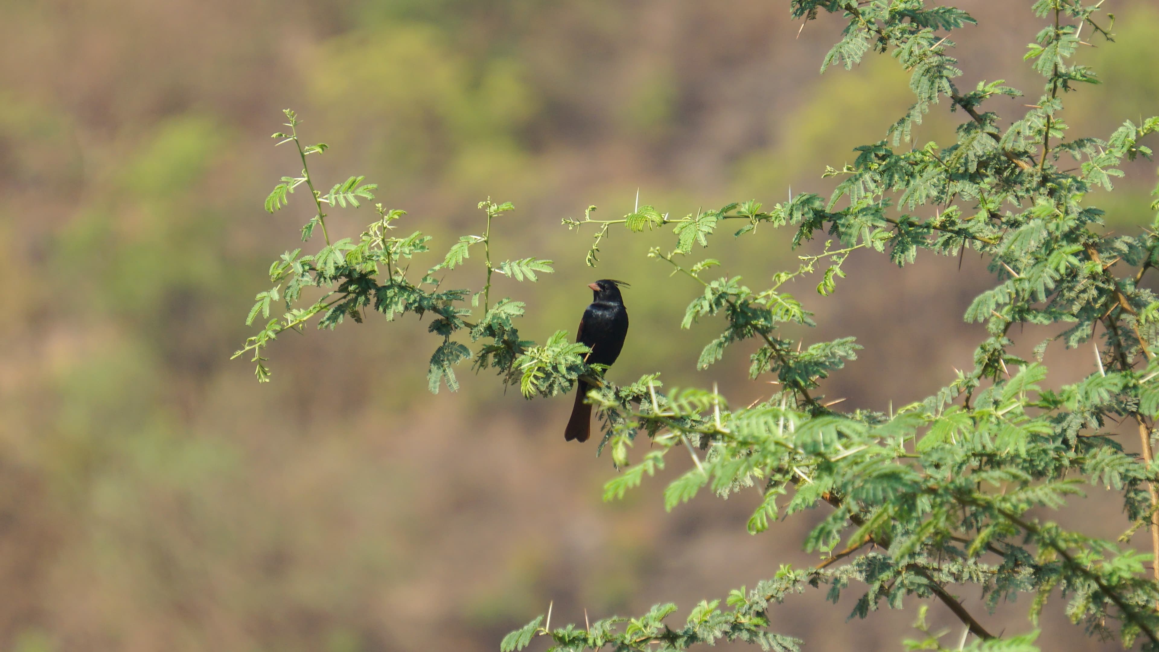 Featured project: In and around the city - Image 6